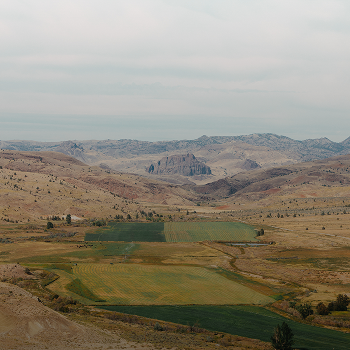 Rural Land
