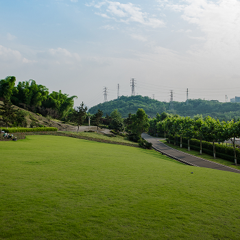 Recreational Land