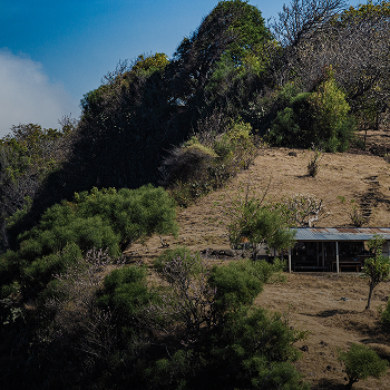 Off-Grid or Remote Land