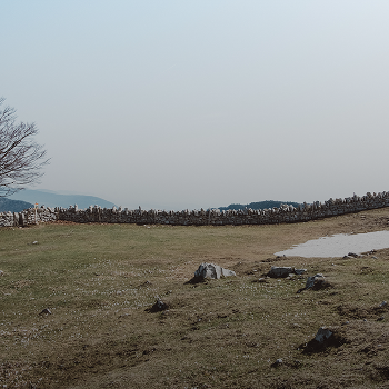 Raw Land